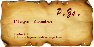 Pleyer Zsombor névjegykártya