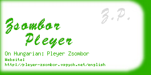 zsombor pleyer business card